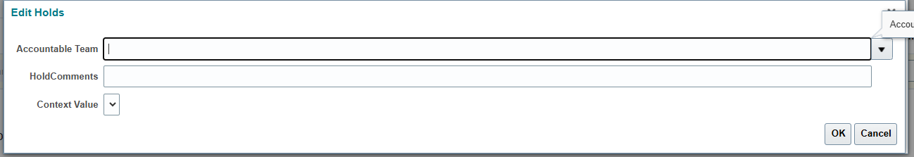 Invoice hold descriptive flexfield used to share investigation notes across teams